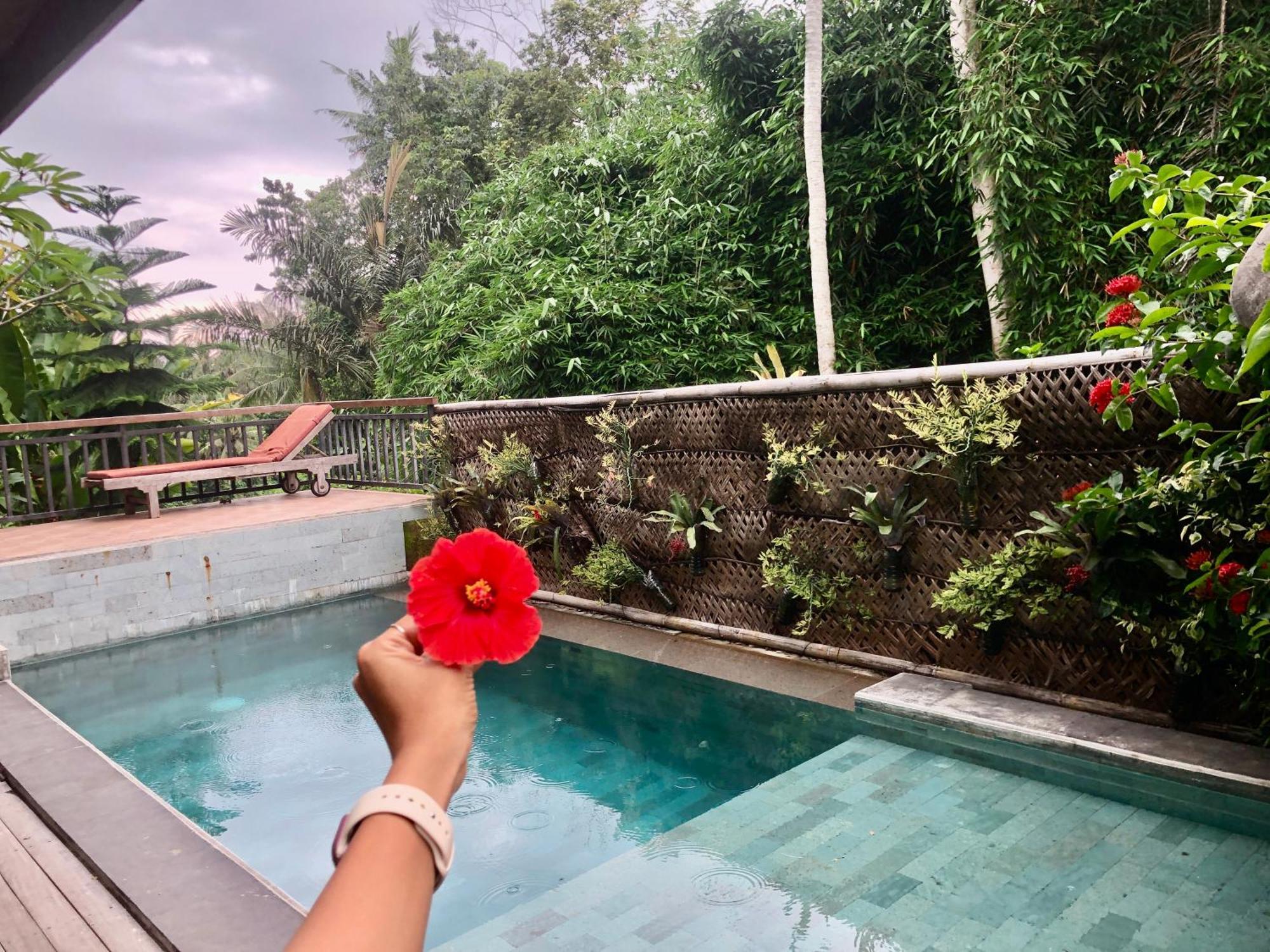 D'Nanda Villa 乌布 外观 照片